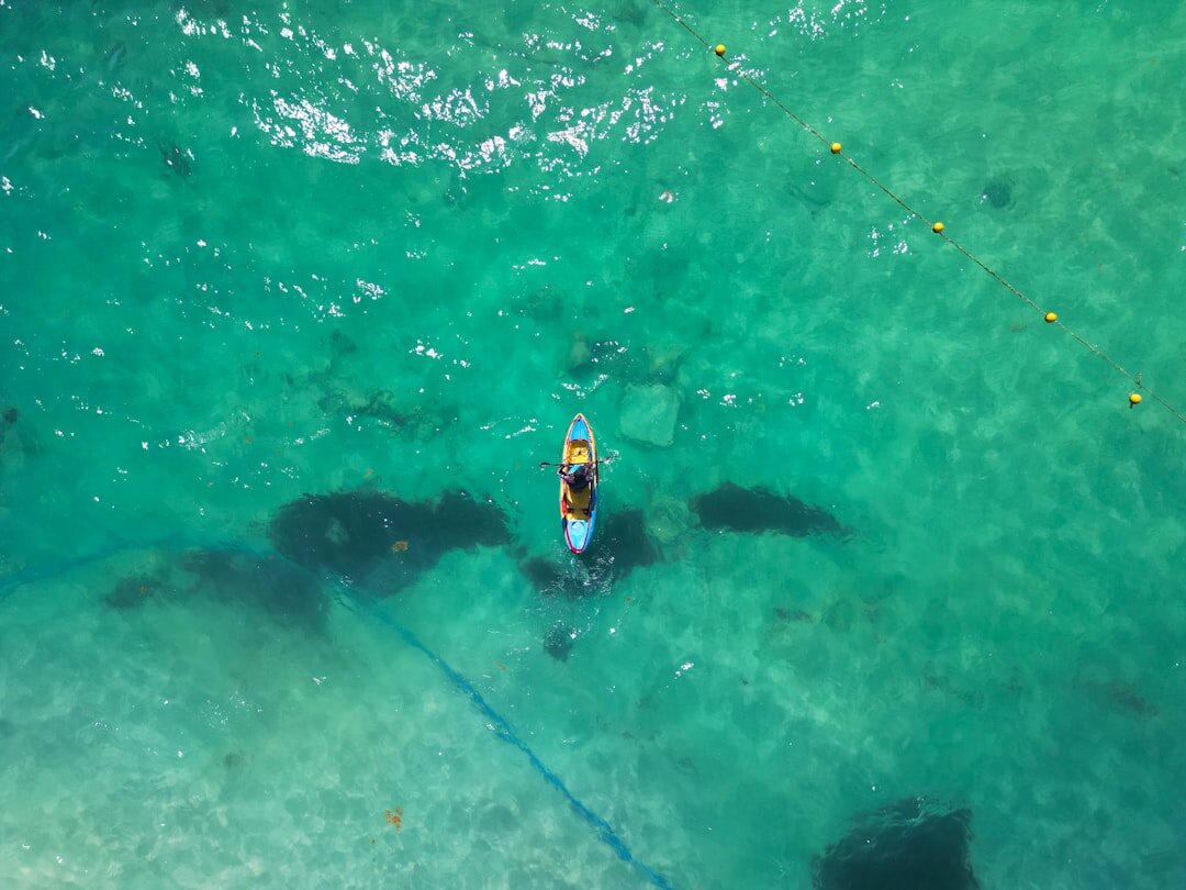 woman snorkeling in clear water